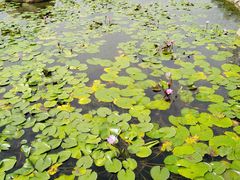 -南通洲际绿博园