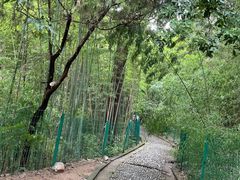 -四门塔风景区