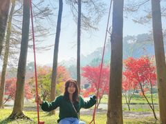 -田野绿世界