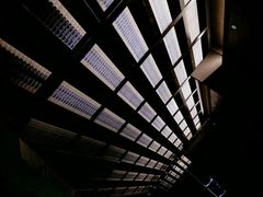 -侵华日军南京大屠杀遇难同胞纪念馆