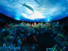 -陕西自然博物馆