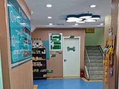 -天使宠物医院·犬猫分诊(彩虹店)