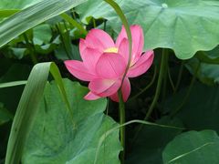 -龚家花园农家乐休闲别墅