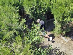 -亲兄弟真人CS团建拓展基地