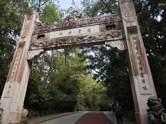 -南山植物园