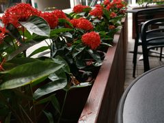 -COSTA COFFEE(阿里中心店)