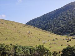-大姆山草场