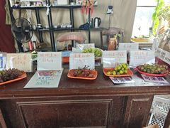 -马陆小张葡萄园农家乐