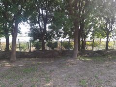 -嘉北郊野公园