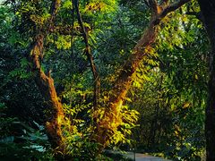 -福建鲤鱼洲酒店