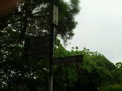 -南丫岛