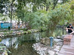 -成都市活水公园