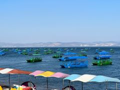 -抚仙湖禄充风景区
