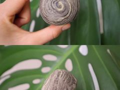 -丁大房(明德广厦店)