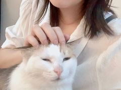 -黑胶星球(华发中城商都店)