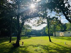 -三亚南山文化旅游区