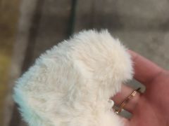 -鸿先阁·干煸虾(星沙店)