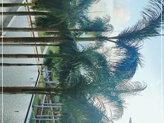 -三亚亚龙湾红树林度假酒店