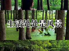 -云龙湖旅游景区