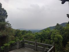 -韬光茶庵