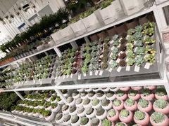 -KKV(重庆东原悦荟主力店)