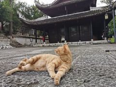 -阳明祠