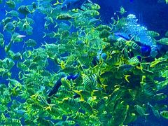 -威海华夏城景区