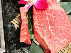 -俺的焼肉(銀座9丁目店)
