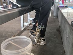 -粮心小农·大头虾亲子生态园(长发店)