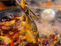 -三道苗苗鱼·美蛙黄辣丁(八里店)