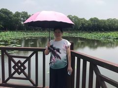 -荷塘月色湿地公园·向阳花洲