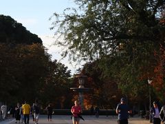 -丽池公园