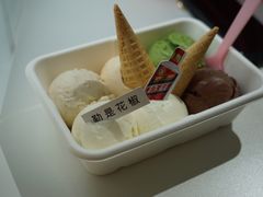 -Mint Gelato(二厂店)