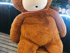 -梁溪河畔·吉府花园(南长街南下塘店)