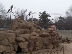 -西安秦岭野生动物园