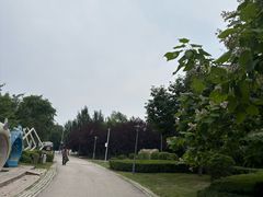 -莫子山公园