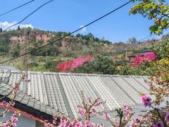 -桃源山庄·水蜜桃采摘·柴火鸡·烧烤团建(龙泉山店)