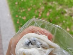 珍珠雪媚娘-桃源村(南大店)