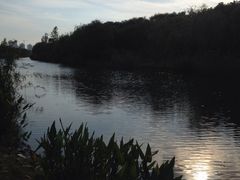 iphone_upload_pic-新江湾城公园
