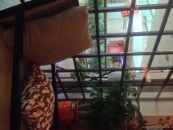 木马造型-木马造型