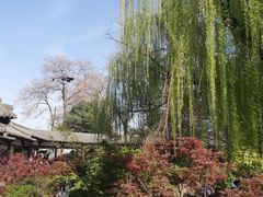 -西安青龙寺遗址景区