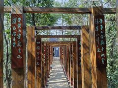 -云碧峰国家森林公园