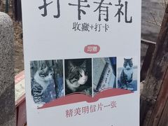 -正阳书局(西四南大街店)