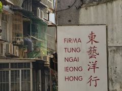 -洪馨椰子