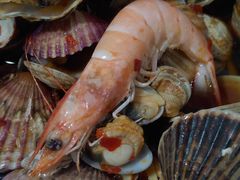 海鲜大咖-晓伟海鲜家常菜