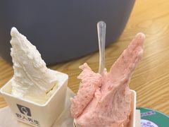 -野人先生Gelato(上海长宁龙之梦店)