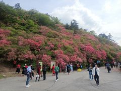 -木兰云雾山