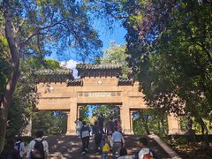 -灵谷景区