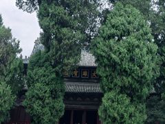 -报恩寺(平武县)