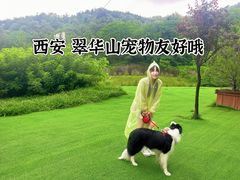 -秦岭终南山世界地质公园翠华山景区